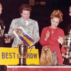 Meet your Posher, Marlene